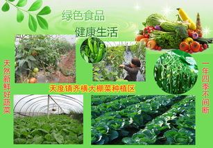 農(nóng)產(chǎn)品信息發(fā)布 連接產(chǎn)銷，賦能現(xiàn)代農(nóng)業(yè)