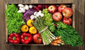 中國供銷延安農(nóng)產(chǎn)品物流園 構(gòu)筑放心“菜籃子”工程，助力農(nóng)產(chǎn)品安全高效流通